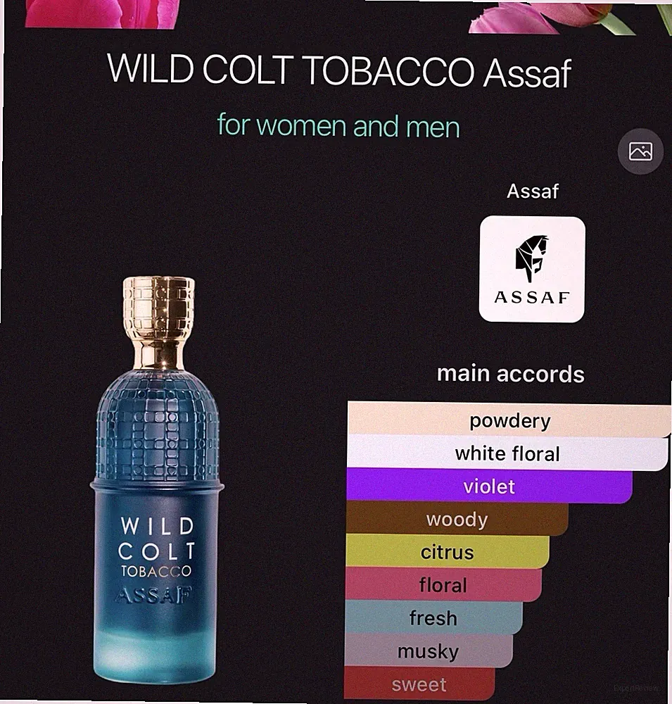 Assaf Wild Colt Tobacco Perfume | Powdery White Floral Violet Woody Citrus Scent