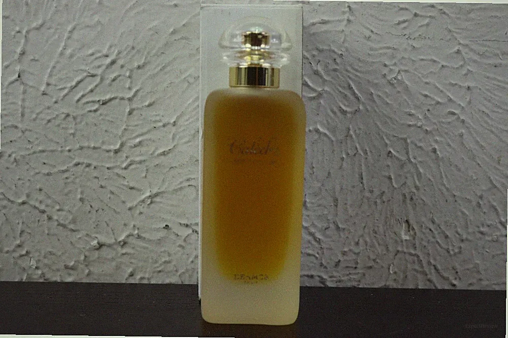 Authentic Caleche By Hermes EAU De Toilette Spray Perfume 100 ML / 3.3 fl oz