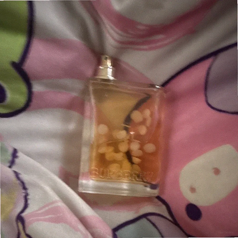 Burberry Burberry Eau de Parfum Spray, Regular Size 3.3 fl oz