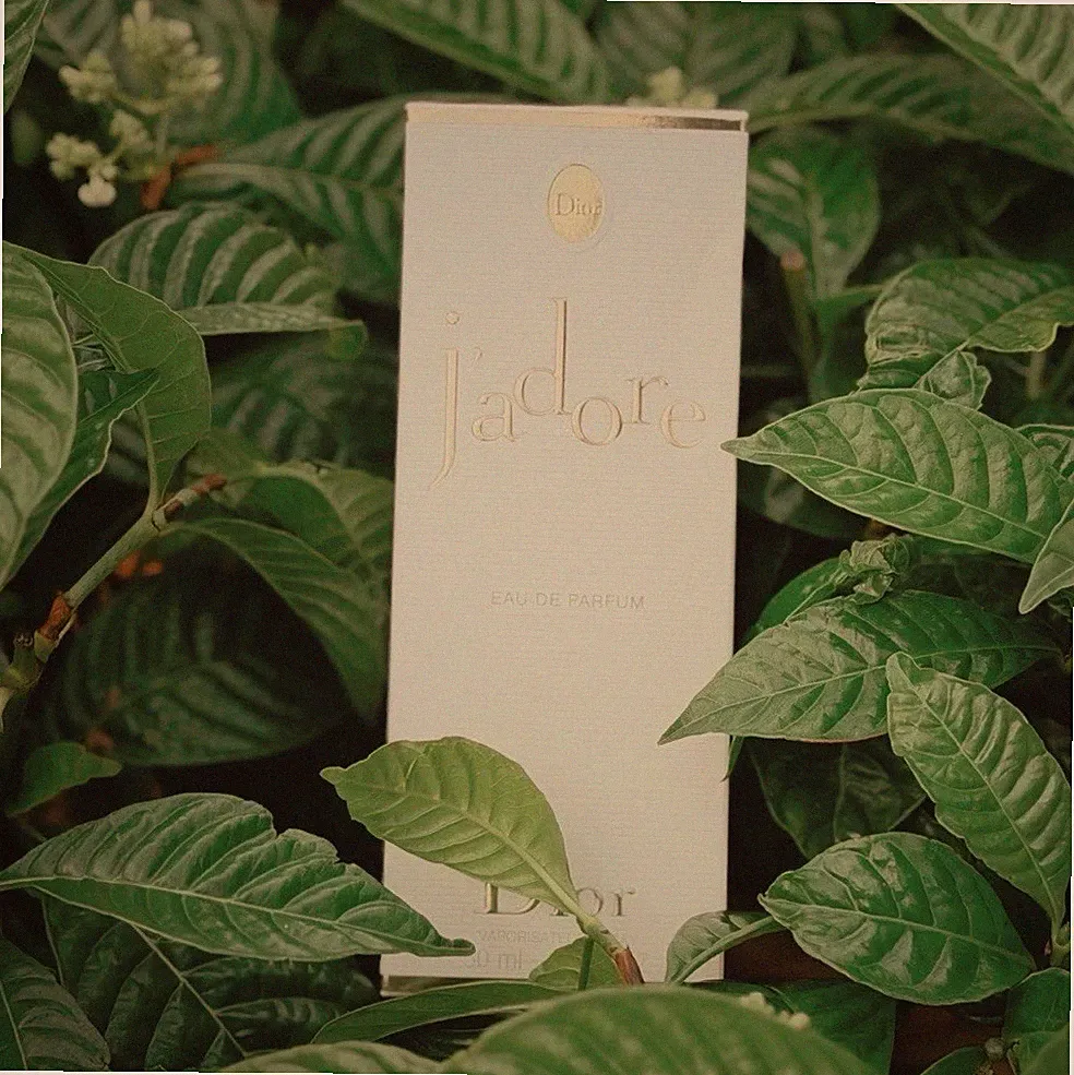 Dior J'adore Eau de Parfum Spray 1.7 fl oz Regular Size Fragrance