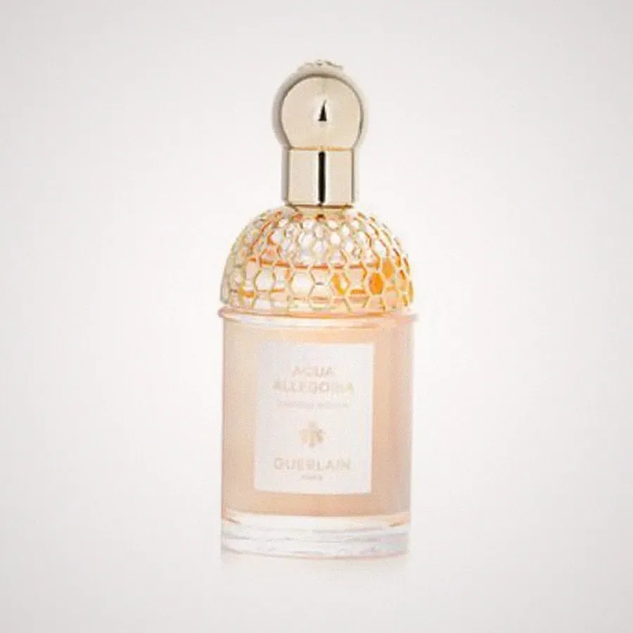 Guerlain Unisex Aqua Allegoria Orange Soleia EDT Spray 2.5 oz Fragrances