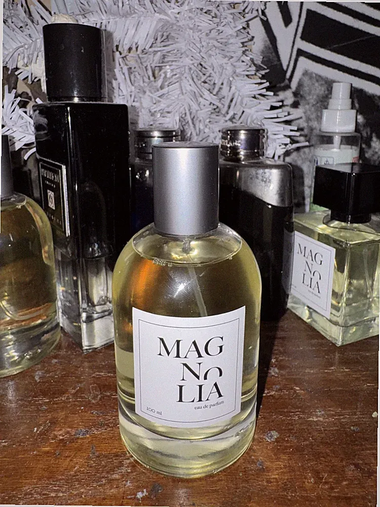 Men’s Cologne Fresh Spicy Long Lasting – Inspired Designer Scent