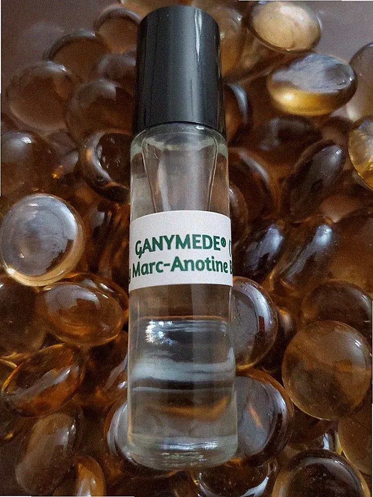 Pure Niche Fragrance Oils (CLEARANCE SALE)