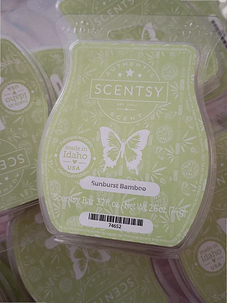 Scentsy Sunburst Bamboo Wax Bar Green 3.2 fl oz Solid Scent 74652