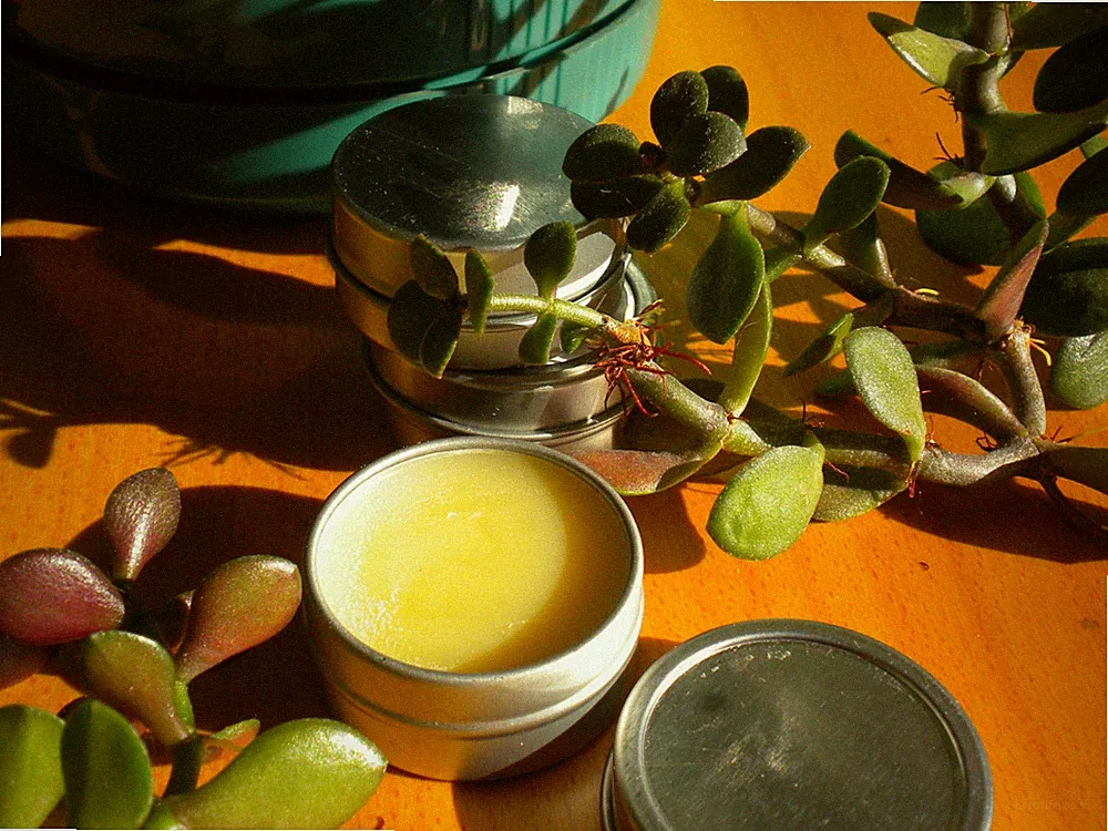 Vegan Perfume Solids Choose Your Scent .5 ounce